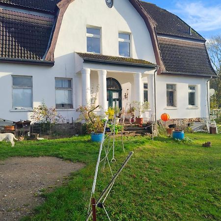Gutshaus Im Gruenen Apartamento Poseritz Exterior foto